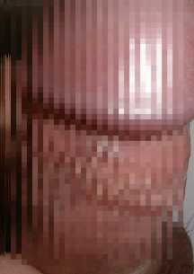myp11m.jpg (6690 oCg)