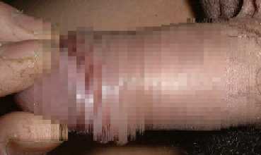 myp2m.jpg (8360 バイト)