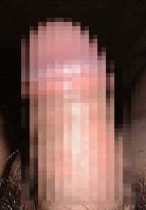 myp4m.jpg (6861 oCg)